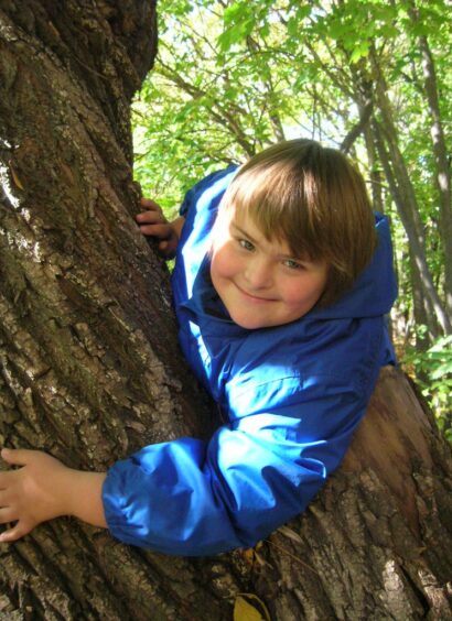 Portrait d'un jeune garçon dans un arbre